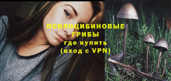 наркотики Алексин