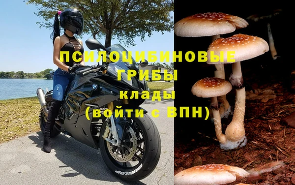 наркотики Алексин