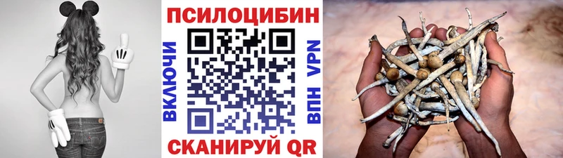 сколько стоит  Урюпинск  Псилоцибиновые грибы мицелий 